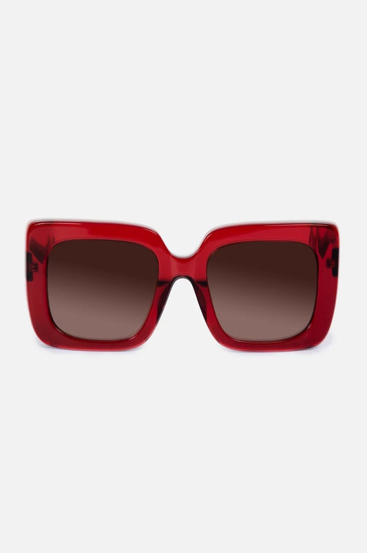 Johnny Was Sutton Sunglasses Solid
