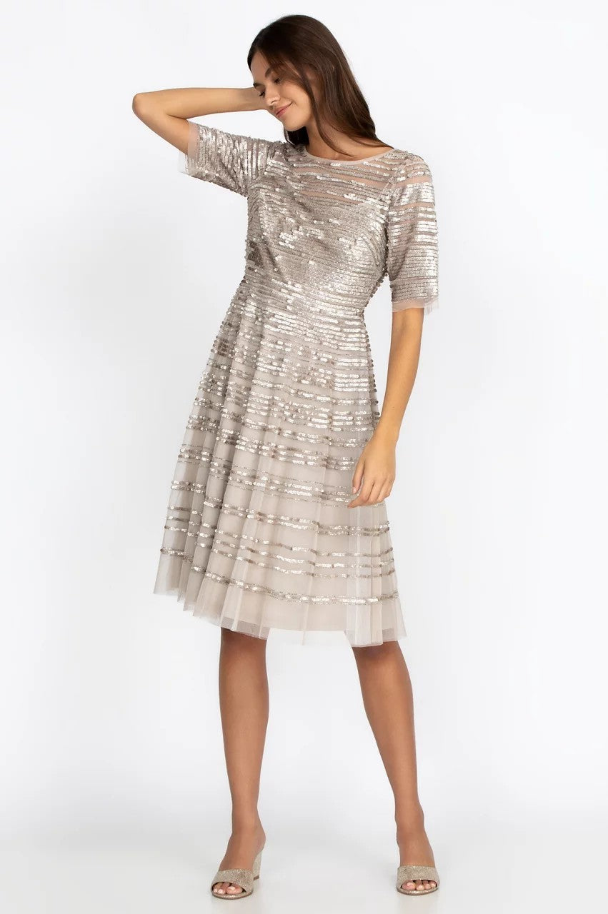 Johnny Was Champagne Beaded Mesh Dress